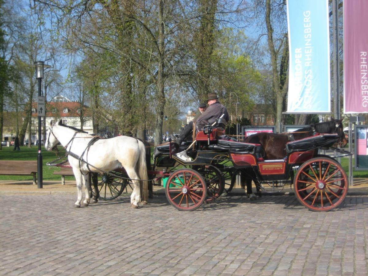 Schloss-Und Seeblick Apartment Rheinsberg Bagian luar foto