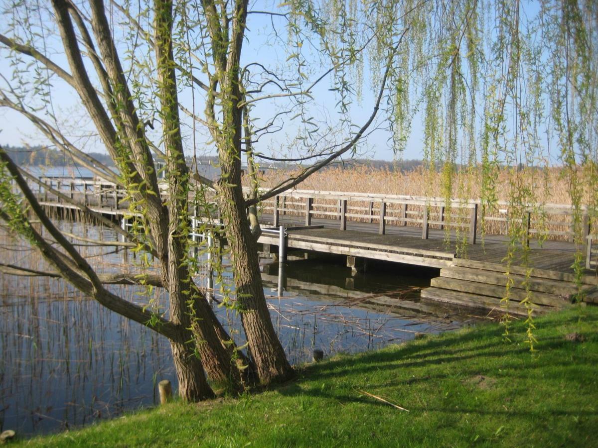 Schloss-Und Seeblick Apartment Rheinsberg Bagian luar foto
